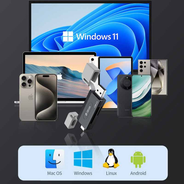 Devia 2in1 Card Reader USB+Type-C 2.0 to SD/TF